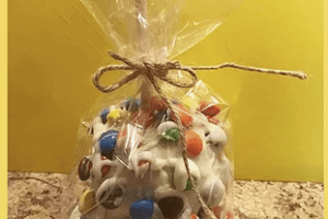 Aunt B’s Gourmet Goodies